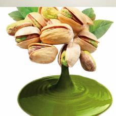 Фісташкова паста ароматизована  TM IRCA Joypaste Pistacchio Prime 100 грам